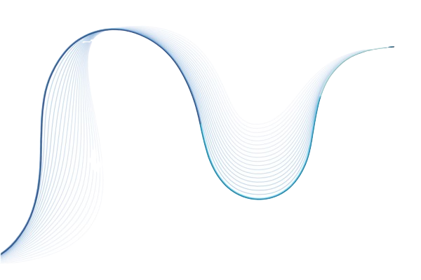 You are currently viewing Carnelian® Support Catheter