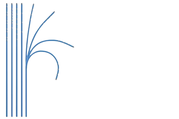 You are currently viewing ViaCath